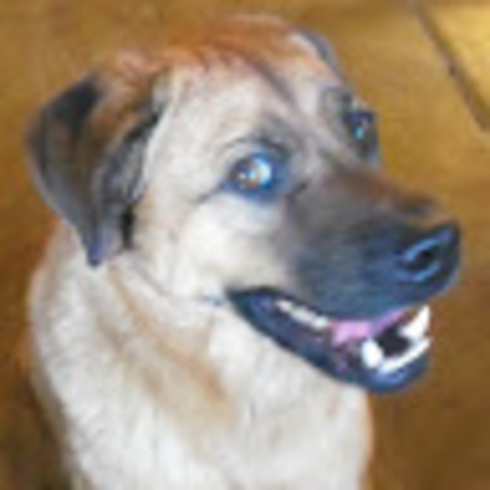 Meet your Posher, Valerie